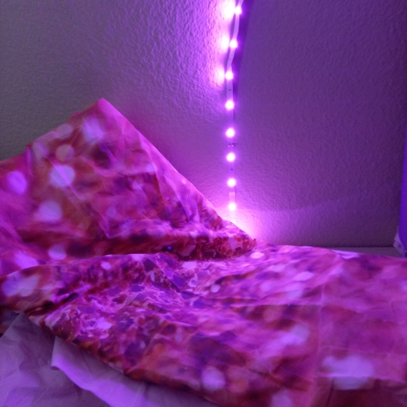 Backdrop - Picture 3 of 8